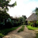 Maya Centre